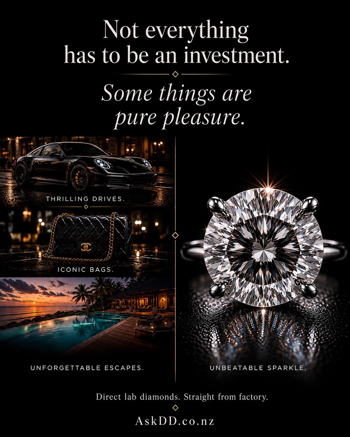 Campaign poster: not everything has to be an investment — some things are pure pleasure